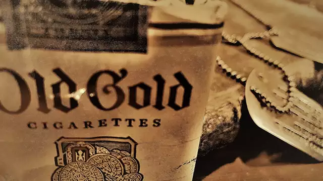 PATRIOTISM MATTERS: Pledging Allegiance to a Burning Flag