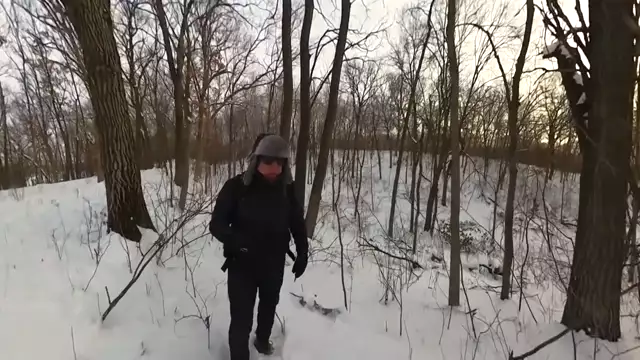 Pope Blasts Trump on Immigration, But Bans Unlawful Entry into Vatican City