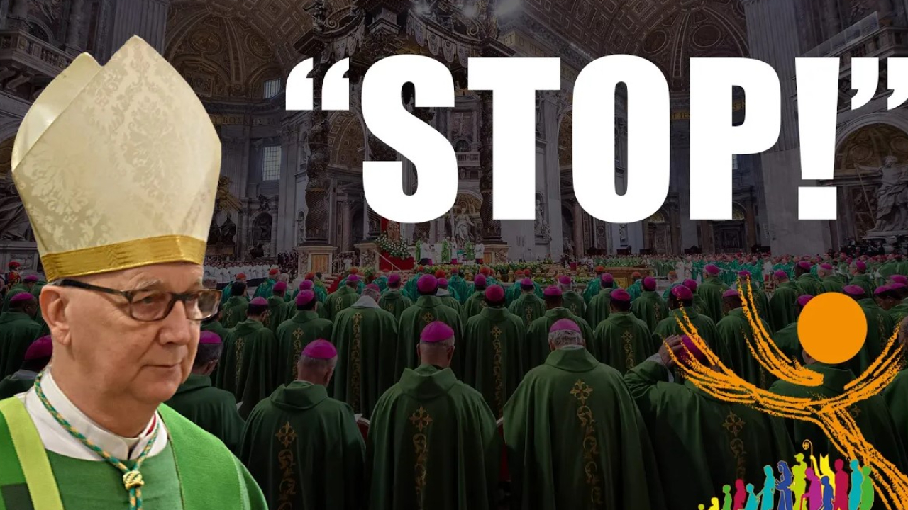 “Synodality has not awakened love for Jesus Christ in a single soul!”