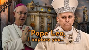 Bishop Schneider CALLS OUT the INFILTRATION DESTROYING CATHOLIC TRADITION